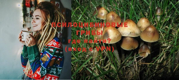 ГАЛЛЮЦИНОГЕННЫЕ ГРИБЫ Бугульма