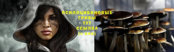 амф Бородино
