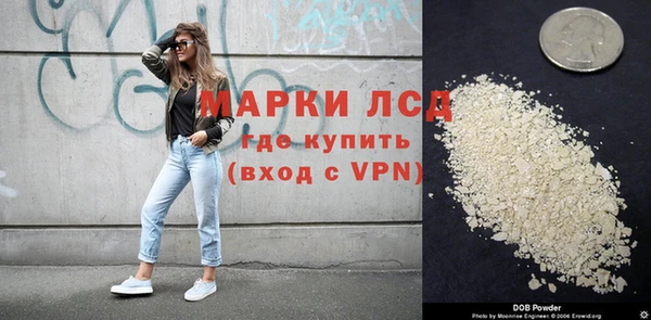 амф Бородино