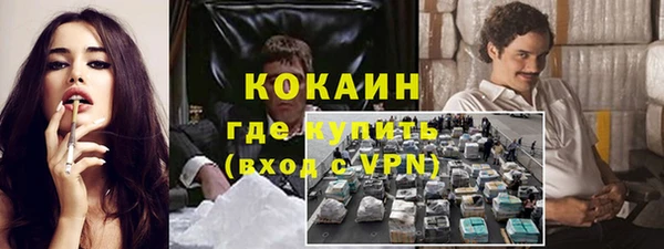 амф Бородино