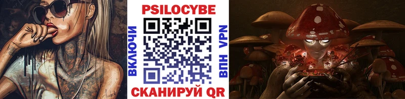 Купить закладки  Данилов  Псилоцибиновые грибы Psilocybine cubensis 